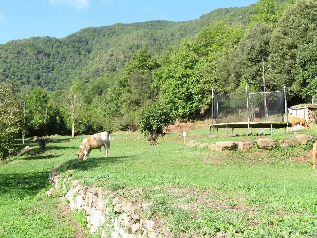 Сasa de vacaciones Villa El Molí de Dalt Riudaura